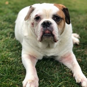 Meet your Posher, Richard